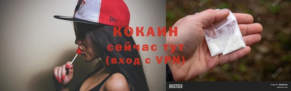 СК Протвино